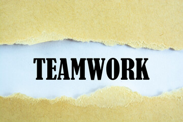 Team teamwork business work word