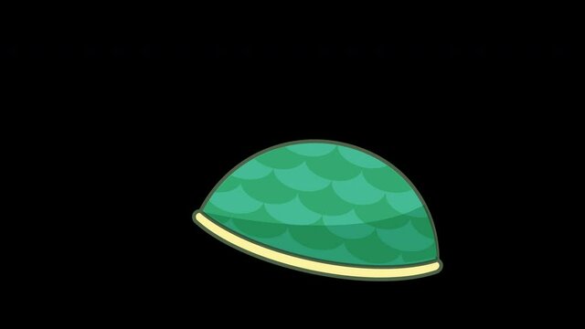 Looping Tortoise