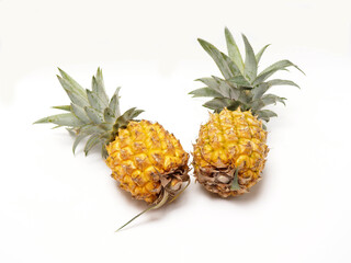 Picure of Pineapple (Ananas comosus), a fruit that usually grow at tropical area. This fruit has many vitamins that good for our body