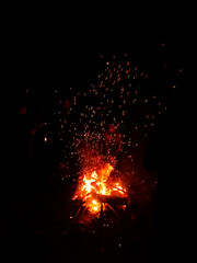 Bonfire with sparks in the night forest