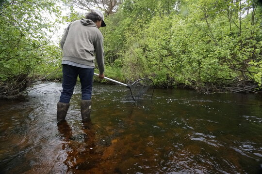 man fishing in the river for gaspereau fish. Nova Scotia