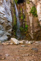 Willard falls in Altadena CA