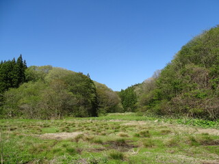 Obraz premium 耕作放棄地