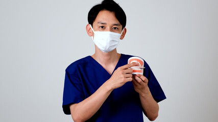 歯の模型を使って説明する歯科医師
