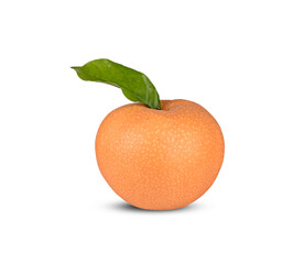 asian-pear fruit on white background