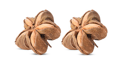 sacha inchi peanut seed on white background
