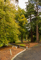 Marton Park in Autumn