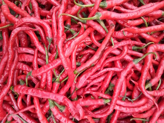 red hot chili peppers