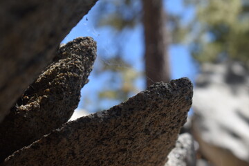 close up rock with spider's web 