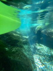 coral reef and diver