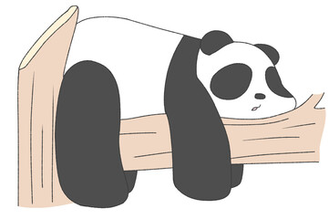 木の上でまったりするパンダ