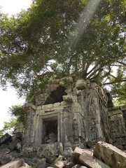 Fototapeta premium 光差すベンメリア遺跡の一角