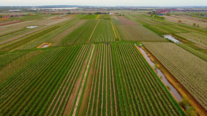 Famous Altes Land district at the city of Hamburg with its huge apple tree fields - aerial photography