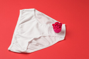 Red rose bud on white women's panties on a red background.