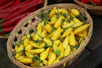 Lemon Drop Pepper from Peru Aji Limo Capsicum frutescens L in basket