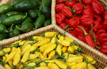 Habanero Peppers, Jalapeno Peppers and Aji Limon peppers in basket