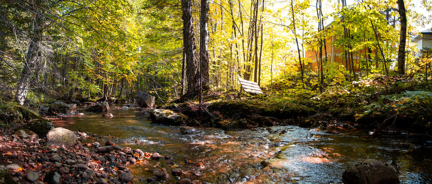 Stoneham river panorama