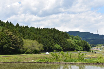 Fototapeta na wymiar 日本　群馬の水上　夏の風景
