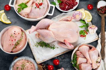 Raw chicken meat parts with spices and herbs for cooking on dark background.