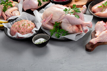 Raw chicken meat parts with spices and herbs for cooking on gray background.