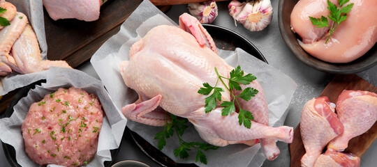 Raw chicken meat parts with spices and herbs for cooking on gray background.