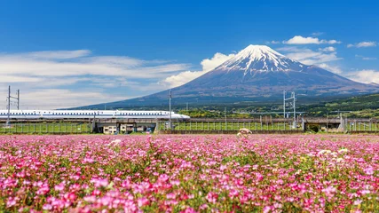 Foto auf Acrylglas Fuji Sinkansen-Zug durch den Berg Fuji, Shizuoka