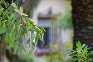 La ventana indiscreta