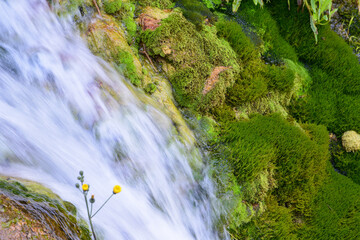 Agua