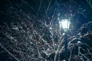 冬のリゾートイメージ  北海道美瑛町