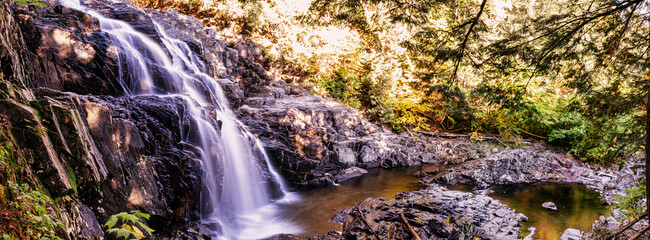 water flowing in the forest