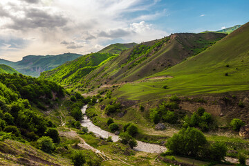 Fototapeta premium River bed between green mountains