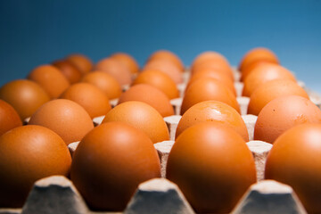 A cassette of brown chicken eggs on a natural substrate, top view. Food background. Eggs in the cassette box