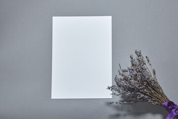 Lavender blossom with white paper sheet mockup on gray background. White paper empty blank, dried...