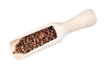 grains of paradise pepper in wood scoop cutout