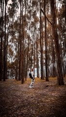 Fototapeta premium walk in the park