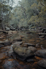 A quiet, rocky section of a creek at Berowra Creek near the Hawkesbury River.