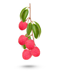 Lychee Bunch with lesves isolated on white background