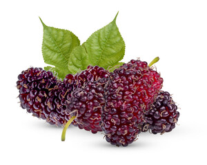 Fresh mulberry with leaves isolated on white background
