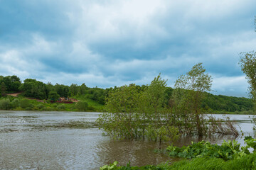 Spill on the river, flooded coastal bushes.