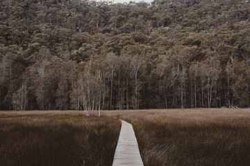 A wooden boardwalk winds through open grassland at 'Place of Winds' on the Great North Walk near...
