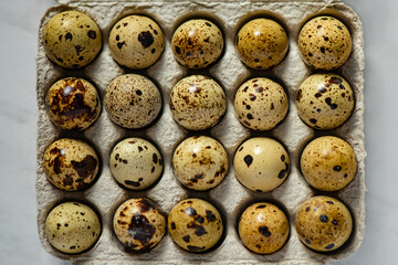 Quail eggs in a package 