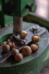 Shell cracker for cracking macadamia, open macadamia nut