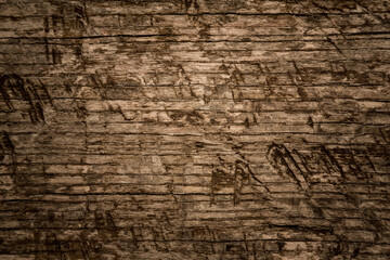 Wood Texture Background. Dark old tree Texture