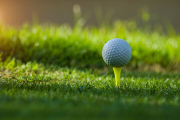 Golf ball on tee ready to play.