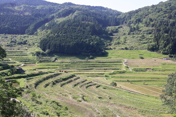 Fototapeta premium とても美しい日本の岡山県の棚田の風景