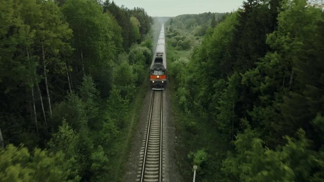 Passenger train rides on a railway in a beautiful forest shooting from the air. The drone's camera follows the train from the air.