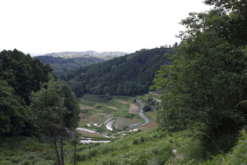 とても美しい日本の岡山県の棚田の風景