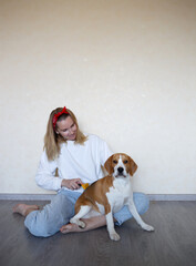 a young woman combing a beagle dog with a furminator. grooming at home