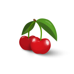 Cherry Illustration - red fresh cherries isolatd on white background