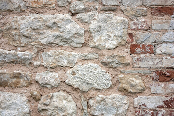 Amanita in the autumn forest. Amanita with a white leg and a red cap grows among fallen leaves, side view Amanita grows, close-up.